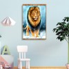 Cool Lion - Full Square Diamond Painting