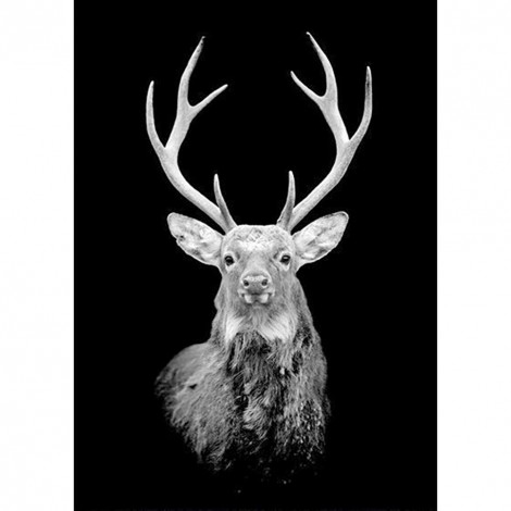 Antelope- Full Round Diamond Painting