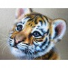 Tiger - Full Round Diamond Painting