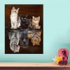 Cats - Full Round Diamond Painting(55*45CM)