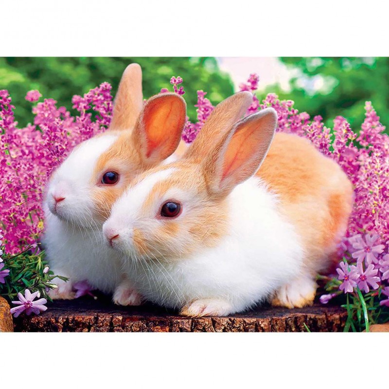 Rabbits  - Full Roun...