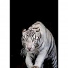 Tiger- Full Round Diamond Painting