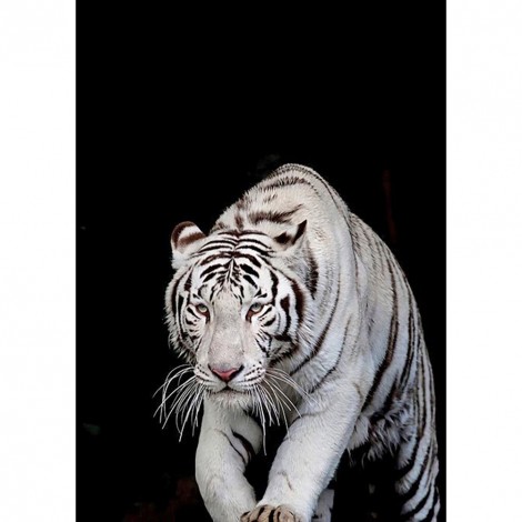 Tiger- Full Round Diamond Painting