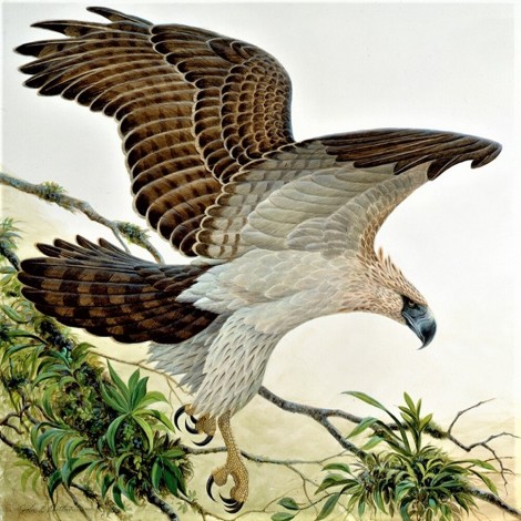 Eagle - Full Round Diamond Painting