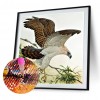 Eagle - Full Round Diamond Painting