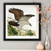 Eagle - Full Round Diamond Painting