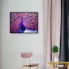 Peacock- Full Round Diamond Painting