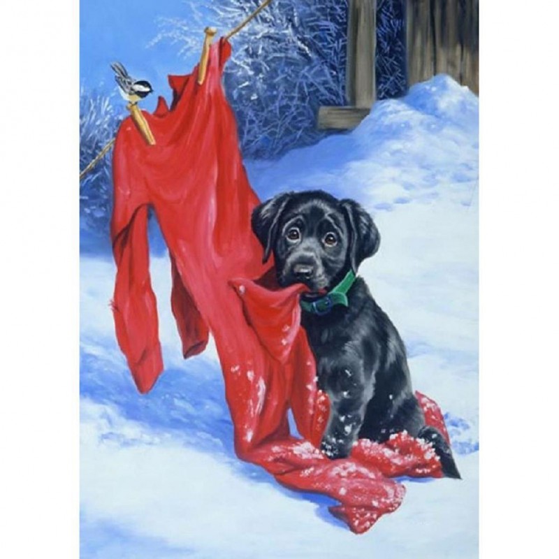 Dog - Full Round Dia...