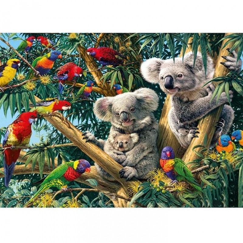 Koala Family - Parti...