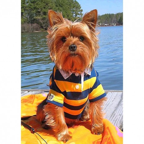 Dog - Full Round Diamond Painting