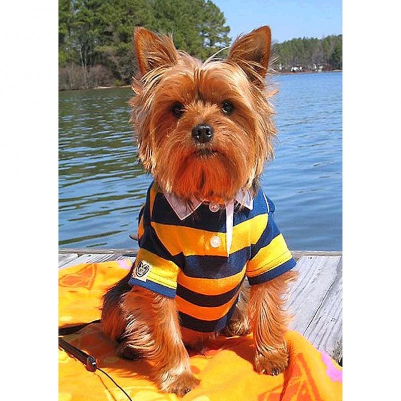 Dog - Full Round Dia...