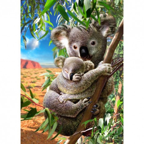 Koala - Full Round Diamond Painting