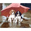 Umbrella Dog - Full Round Diamond Painting