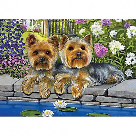 Dogs  - Full Round Diamond Painting