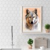 Wolf - Full Round Diamond Painting