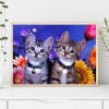 Cats - Full Round Diamond Painting