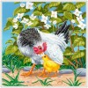 Chicken - Full Round Diamond Painting