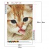 Cat - Full Round Diamond Painting