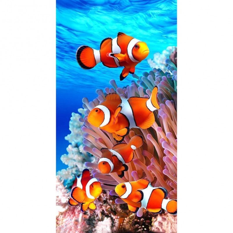 Fish  - Full Round D...