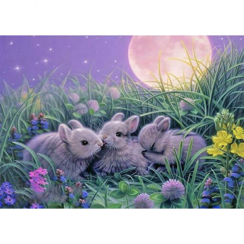 Rabbit-Full Round Di...