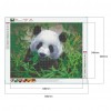 Panda - Full Round Diamond Painting(40*50cm)