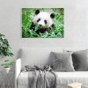 Panda - Full Round Diamond Painting(40*50cm)