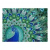 Peafowl - Crystal Rhinestone Diamond Painting