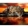 Leopard - Full Square Diamond Painting