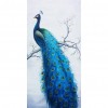 Peacock - Full Round Diamond Painting(85*45cm)