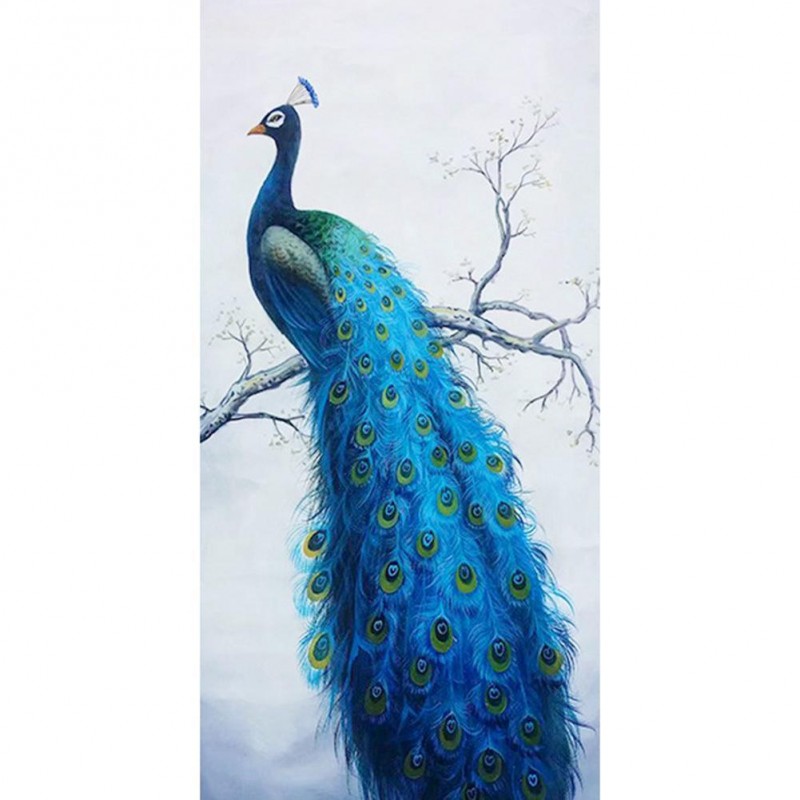 Peacock - Full Round...