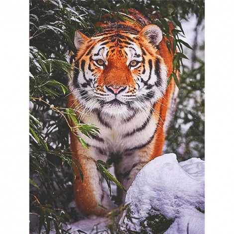 Tiger- Full Round Diamond Painting