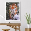 Tiger- Full Round Diamond Painting