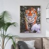 Tiger- Full Round Diamond Painting