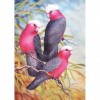 Pink Birds - Full Round Diamond Painting