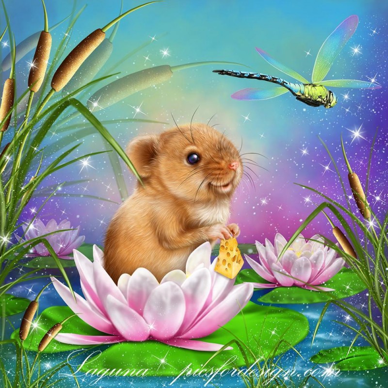 Mouse Dragonfly - Fu...