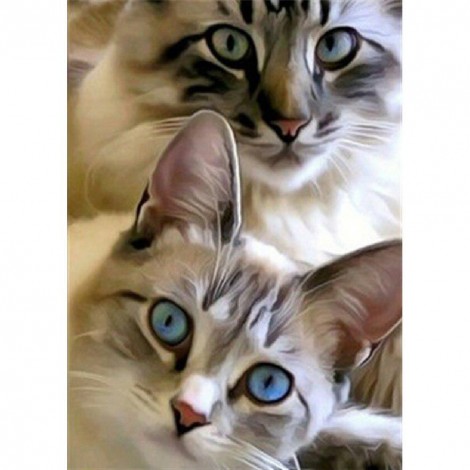 Cat - Full Round Diamond Painting