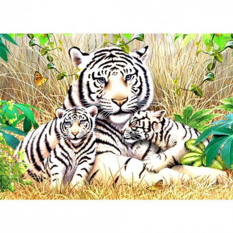 Tiger - Full Square Diamond Painting