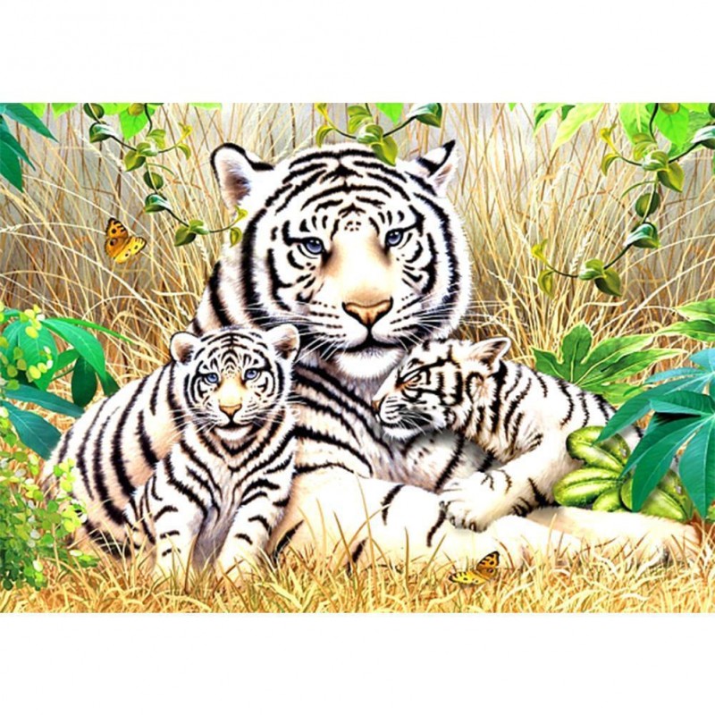 Tiger - Full Square ...