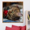 Cat Kiss Rose - Full Round Diamond Painting