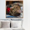 Cat Kiss Rose - Full Round Diamond Painting