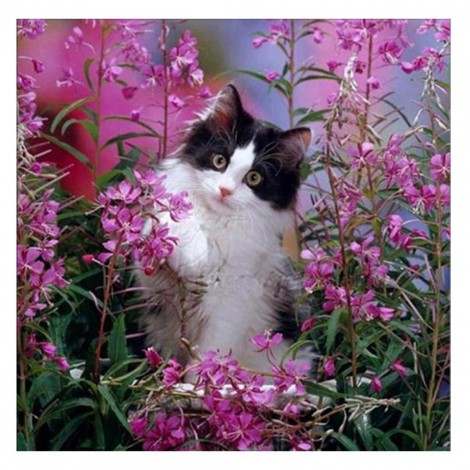 Circular Cat - Partial Round Diamond Painting