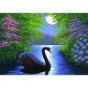 Swan - Full Round Diamond Painting