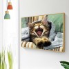 Cat - Full Square Diamond Painting(40x50cm)