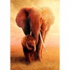 Elephant  - Full Round Diamond Painting