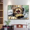 Cat - Full Square Diamond Painting(40x50cm)