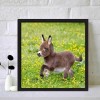 Donkey - Full Round Diamond Painting
