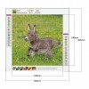 Donkey - Full Round Diamond Painting