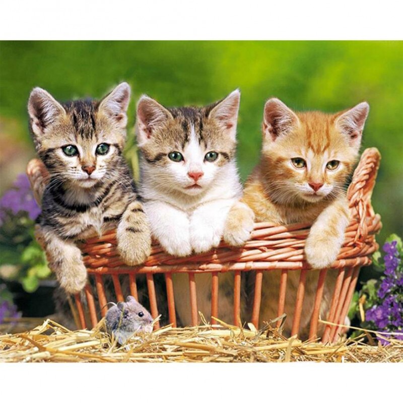 Lovely Cats - Full R...