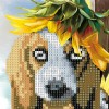 Dog with Sunflower - Partial Round Diamond Painting
