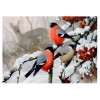 Winter Birds - Full Round Diamond Painting